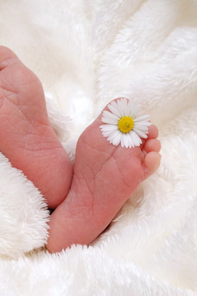 Close-up of newborn feet with a daisy on a fluffy white blanket.